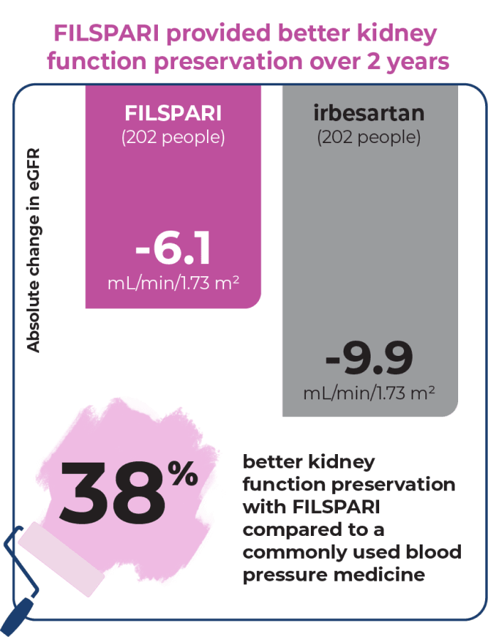 Graph of average change in eGFR between FILSPARI and irbesartan -6.1 mL/min/1.73 m2 and -9.9 mL/min/1.73 m2 respectively with 202 patients in each group